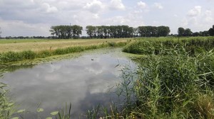 valleikanaal_near_wageningen_02